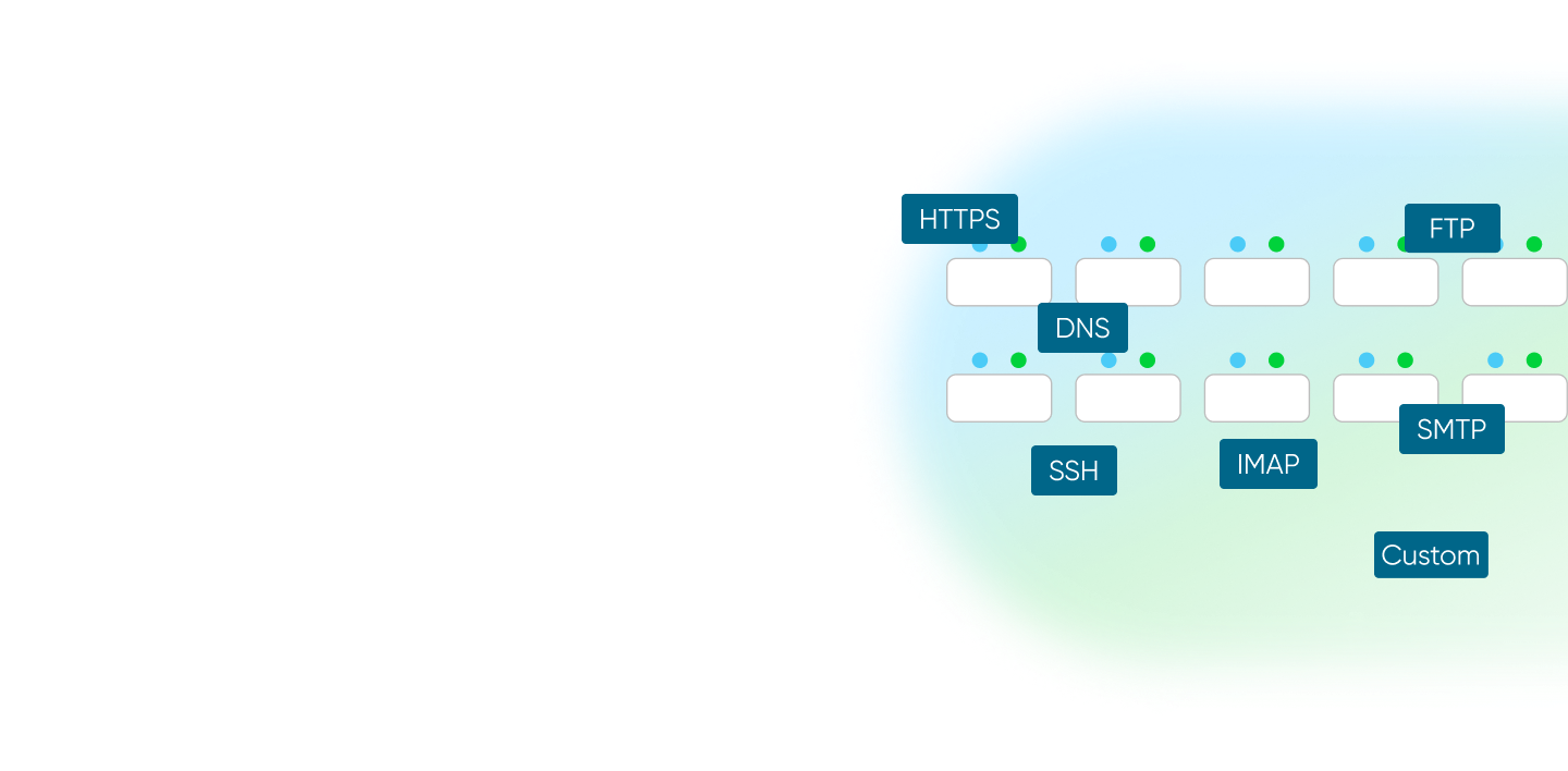 Visual representation of port monitoring for services like HTTPS, DNS, FTP, with status indicators